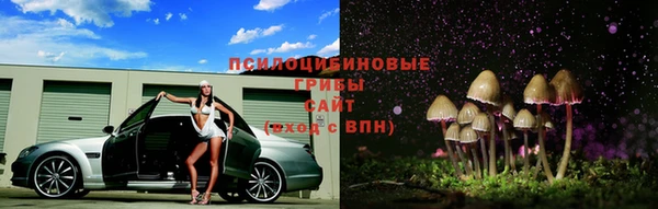 спайс Арсеньев