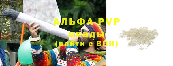 спайс Арсеньев